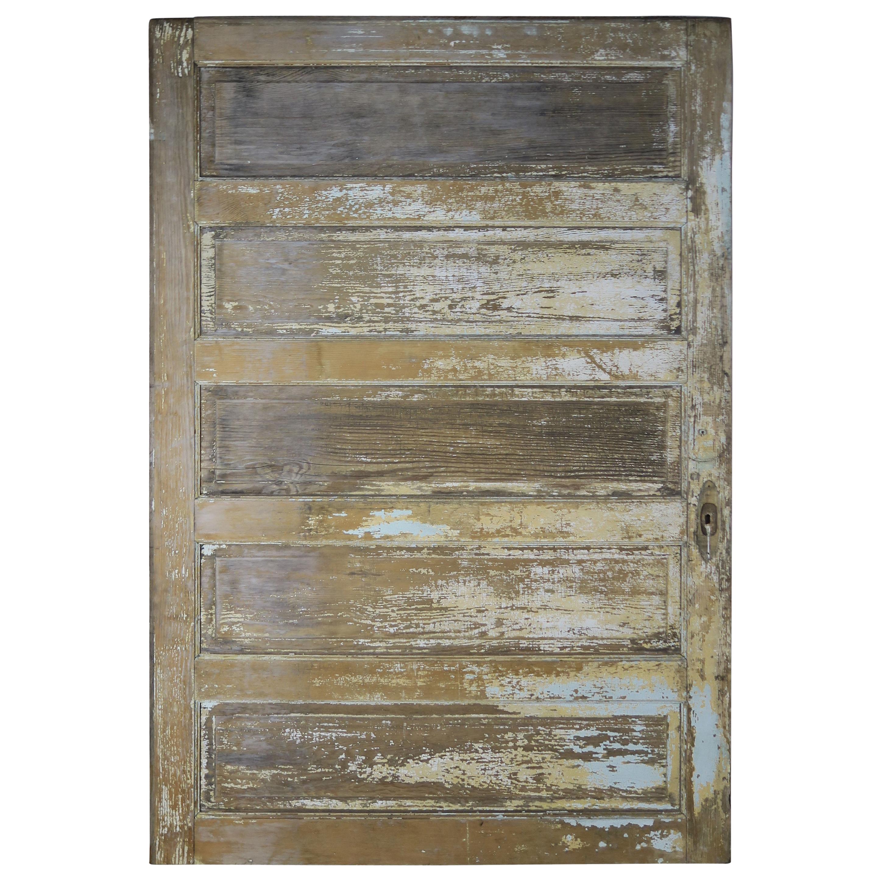 19th Century French Painted Barn Door For Sale