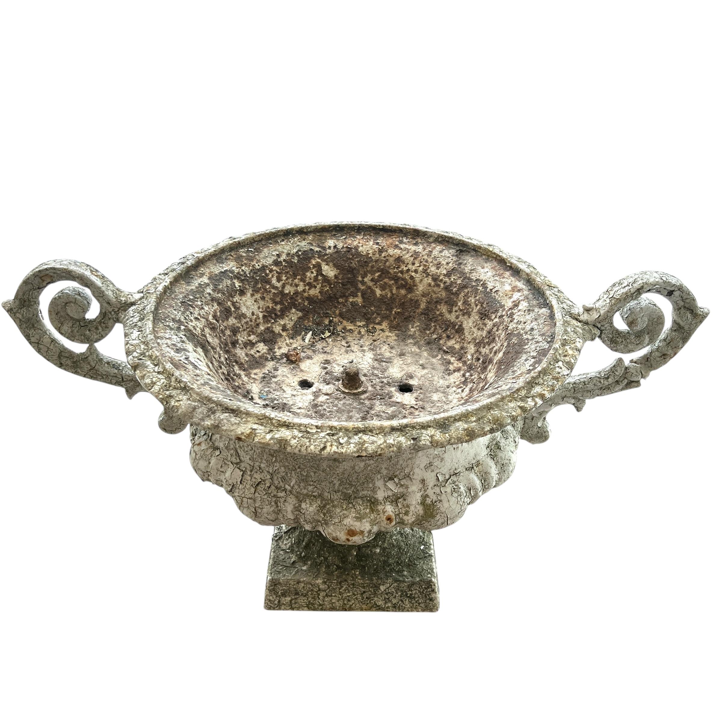 19th Century French Pair of Antique Jardinieres with Handles For Sale 1