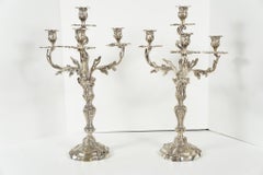 19th Century French Pair of Silvered Bronze Louis XV Style Candelabra