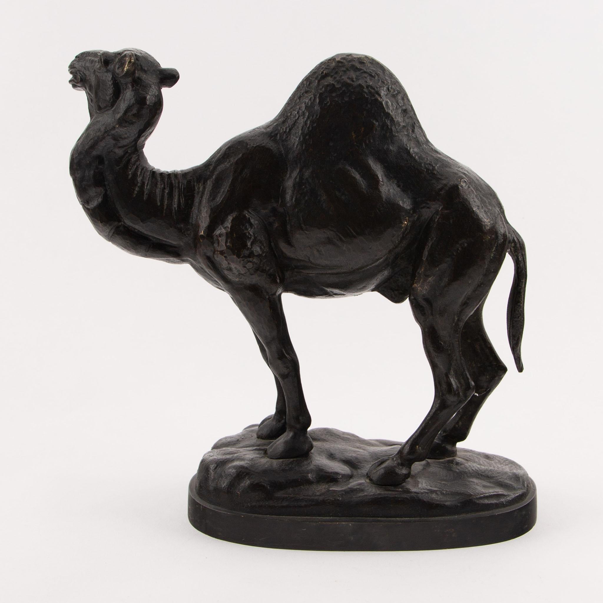 A finely cast 19th century French patinated bronze sculpture depicting a standing dromedary camel, portrayed in a naturalistic stance with its head slightly turned and mouth open as if mid-call. The artist has captured the camel’s distinctive