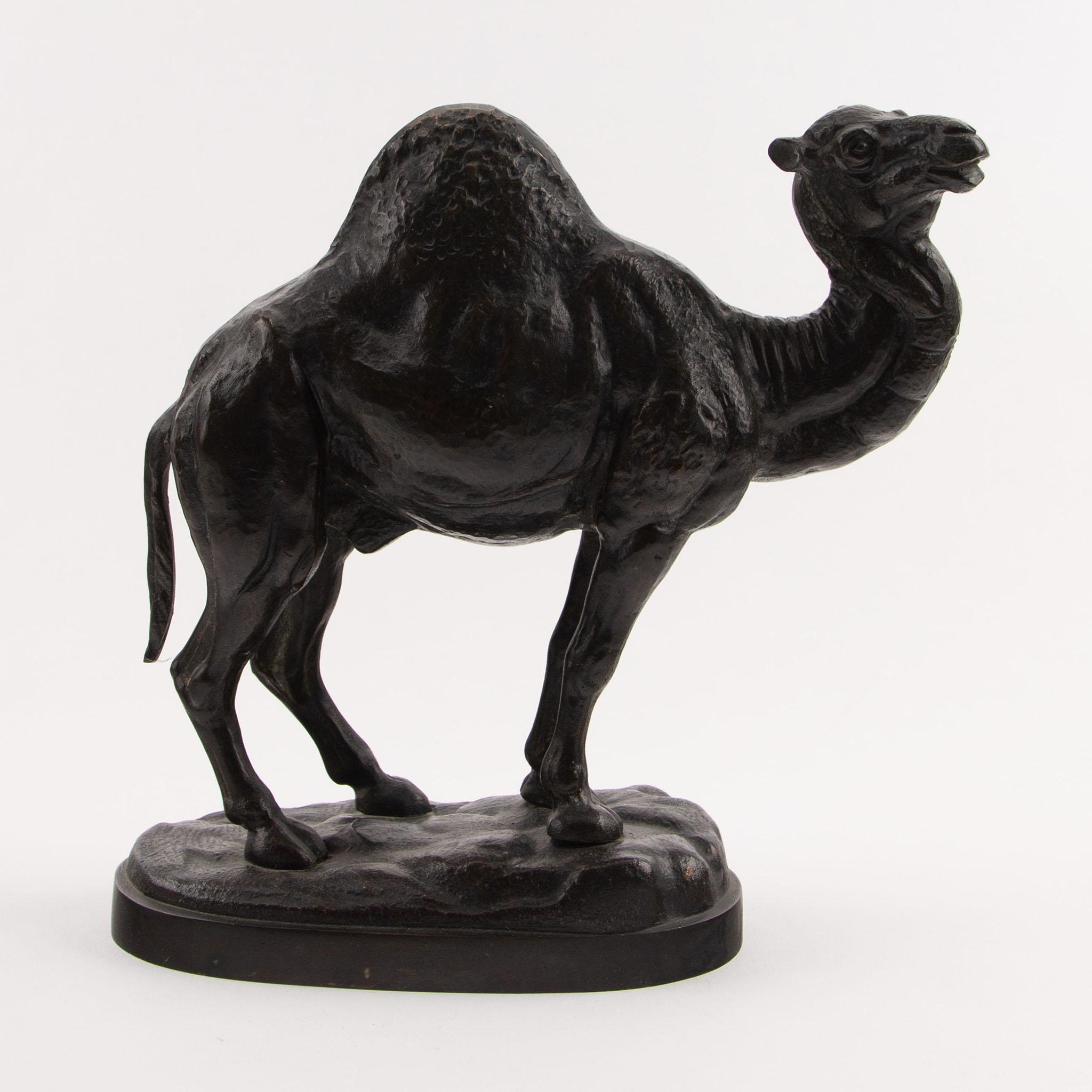 19th Century French Patinated Bronze Dromedary Camel Sculpture In Excellent Condition For Sale In New York, NY