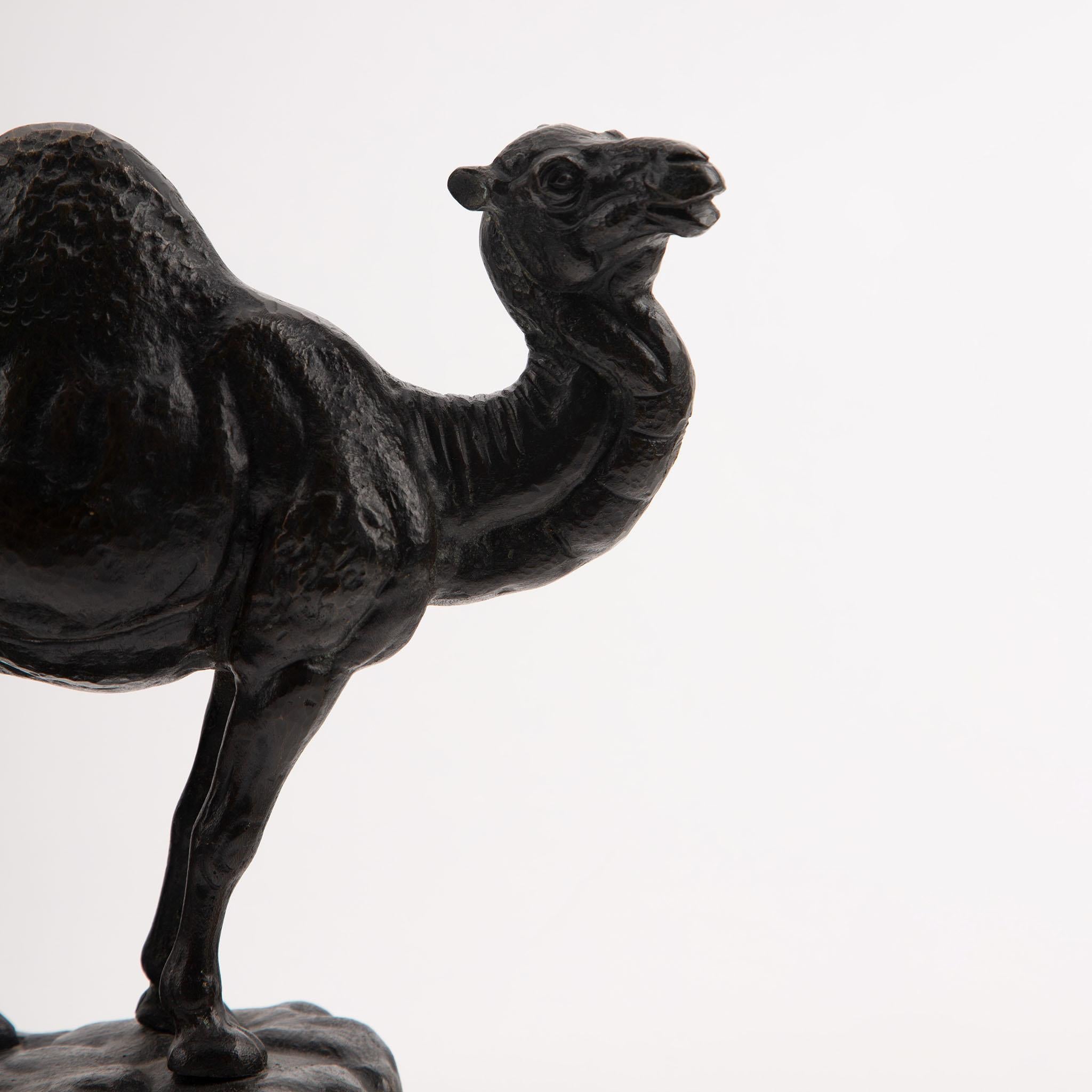 19th Century French Patinated Bronze Dromedary Camel Sculpture For Sale 1