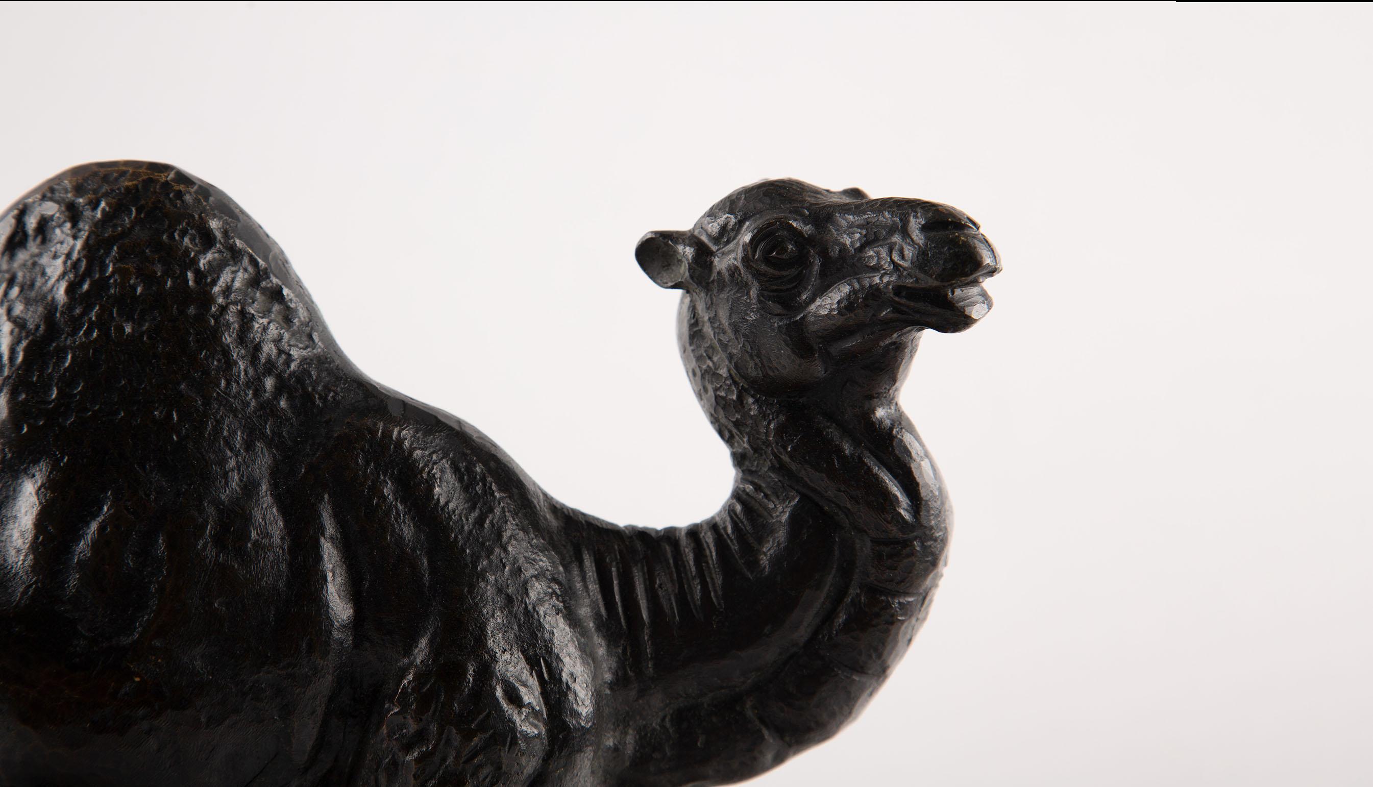 19th Century French Patinated Bronze Dromedary Camel Sculpture For Sale 2