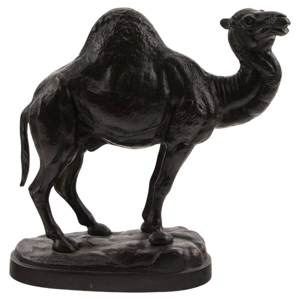 19th Century French Patinated Bronze Dromedary Camel Sculpture For Sale