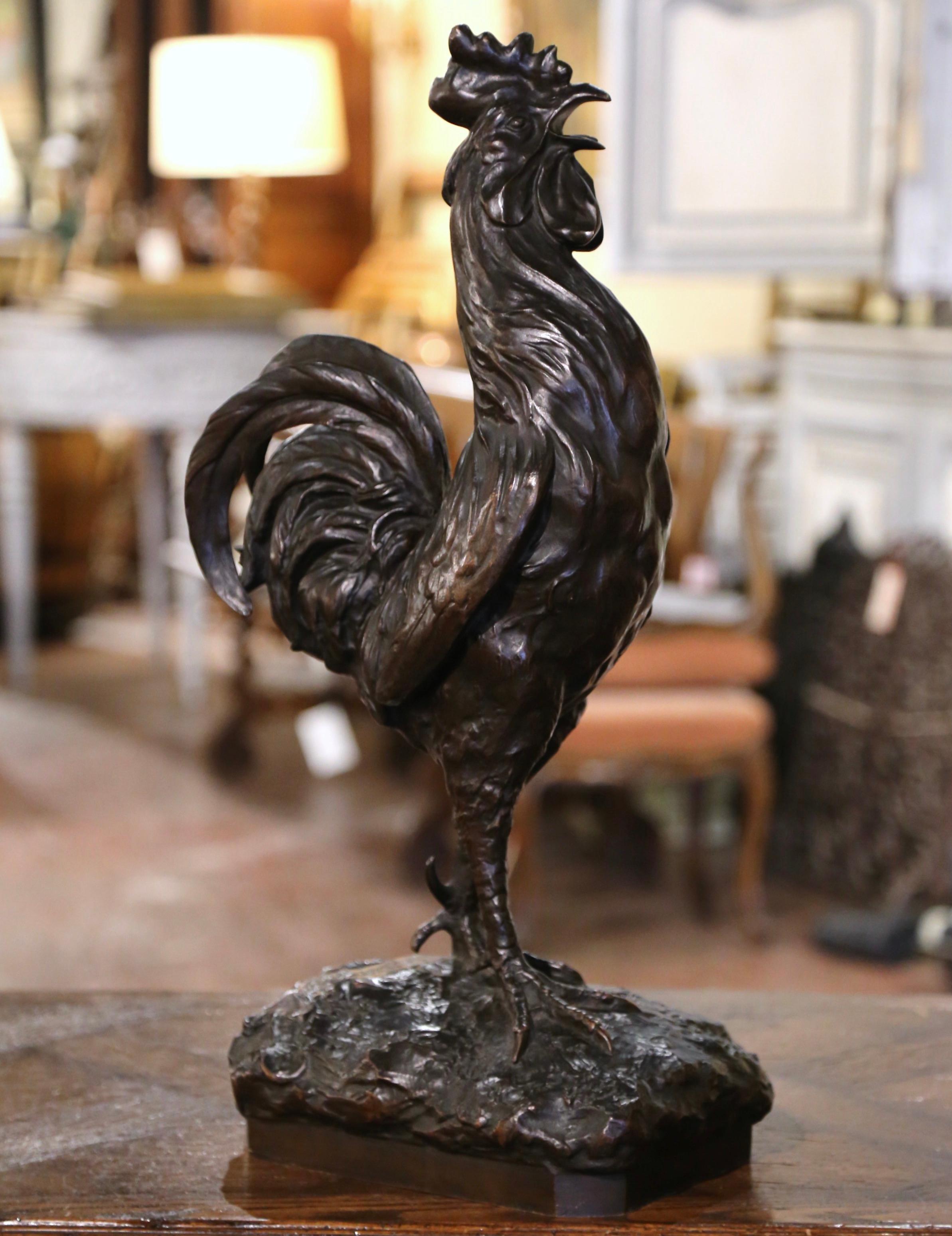 Decorate a console table or an office desk with this elegant antique bronze chanticleer. Crafted in France circa 1890, this sculpture, modeled after Auguste Cain's (1822-1894) popular works,  features a rooster standing on a rectangular rocky base