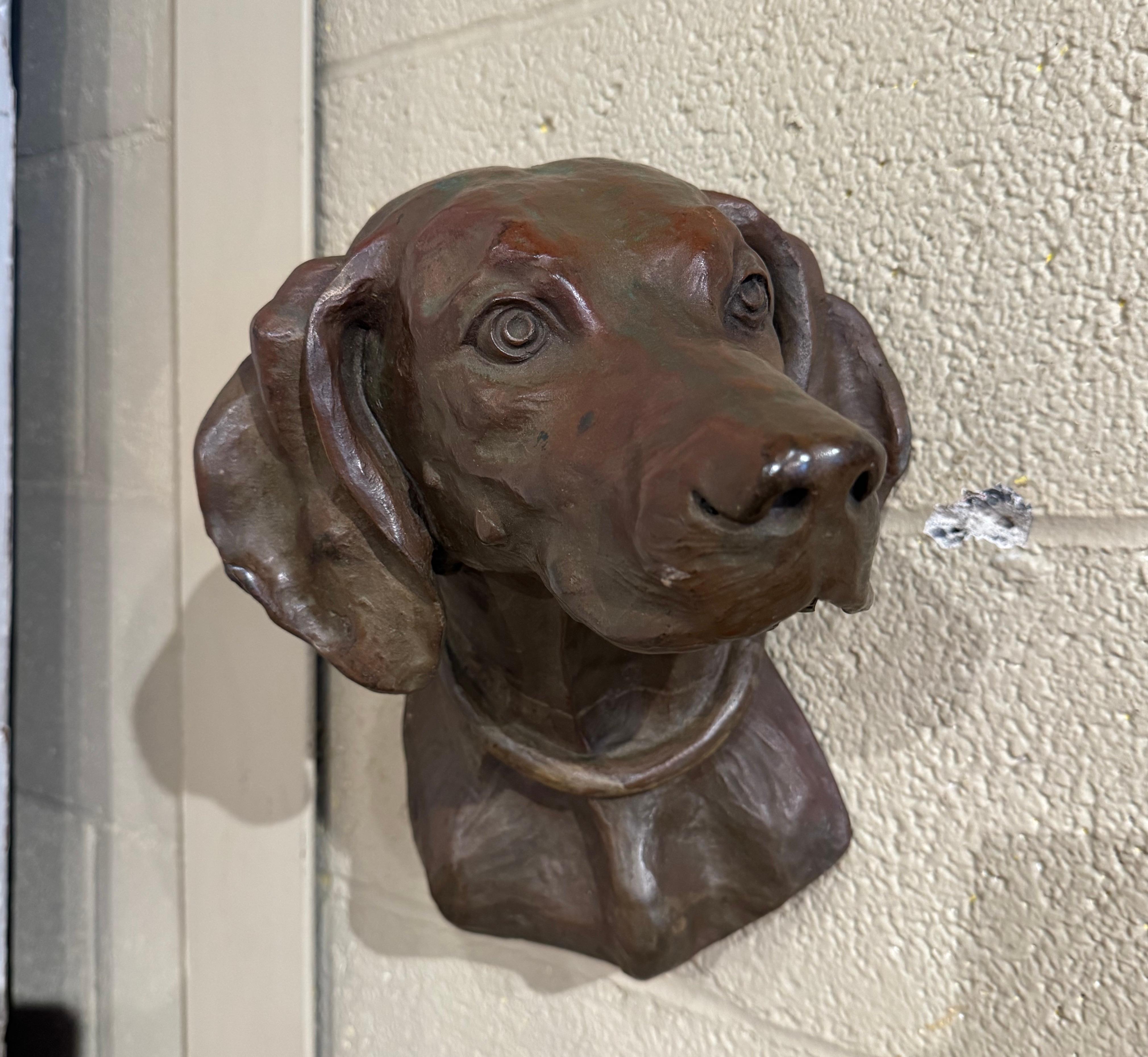 Decorate a man's office or study with this heavy antique hunting dog sculpture. Created in France circa 1880 and built of bronze, the sculpture composition attributed to Jules Moigniez, depicts a Labrador retriever head turned to the side. The
