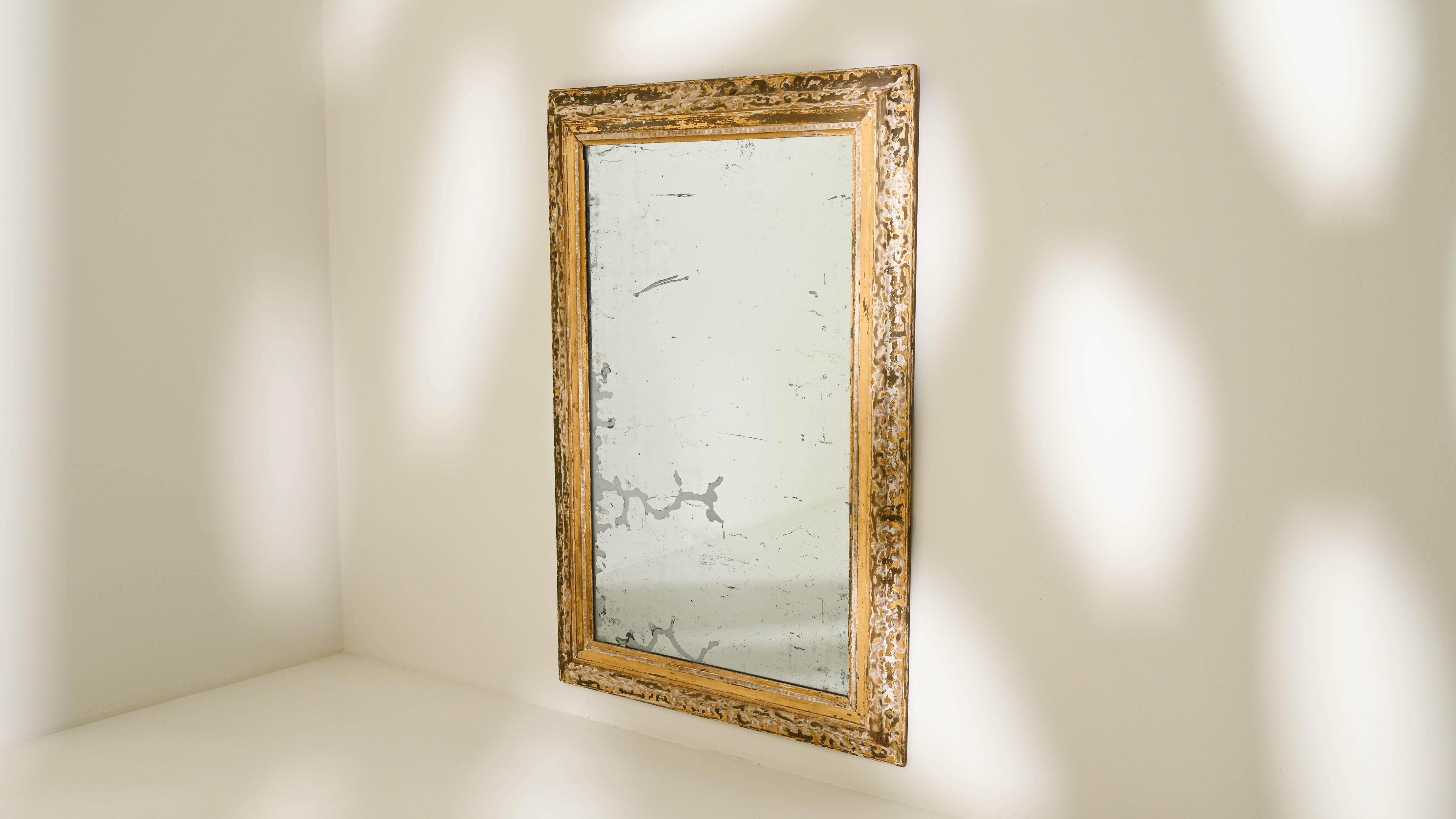 19th Century French Patinated Mirror 4