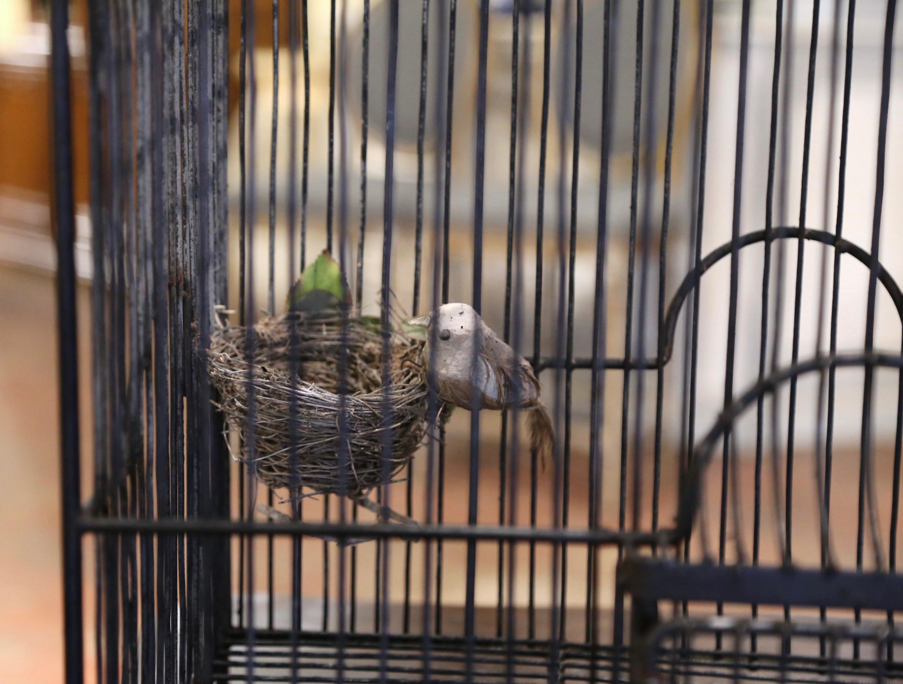 Bring the outdoors in with this large, elegant, antique birdcage. Crafted in France, circa 1880, this The birdcage features an elegant, domed design with intricate metalwork. The curved roof is topped with a decorative gold finial, adding a touch of