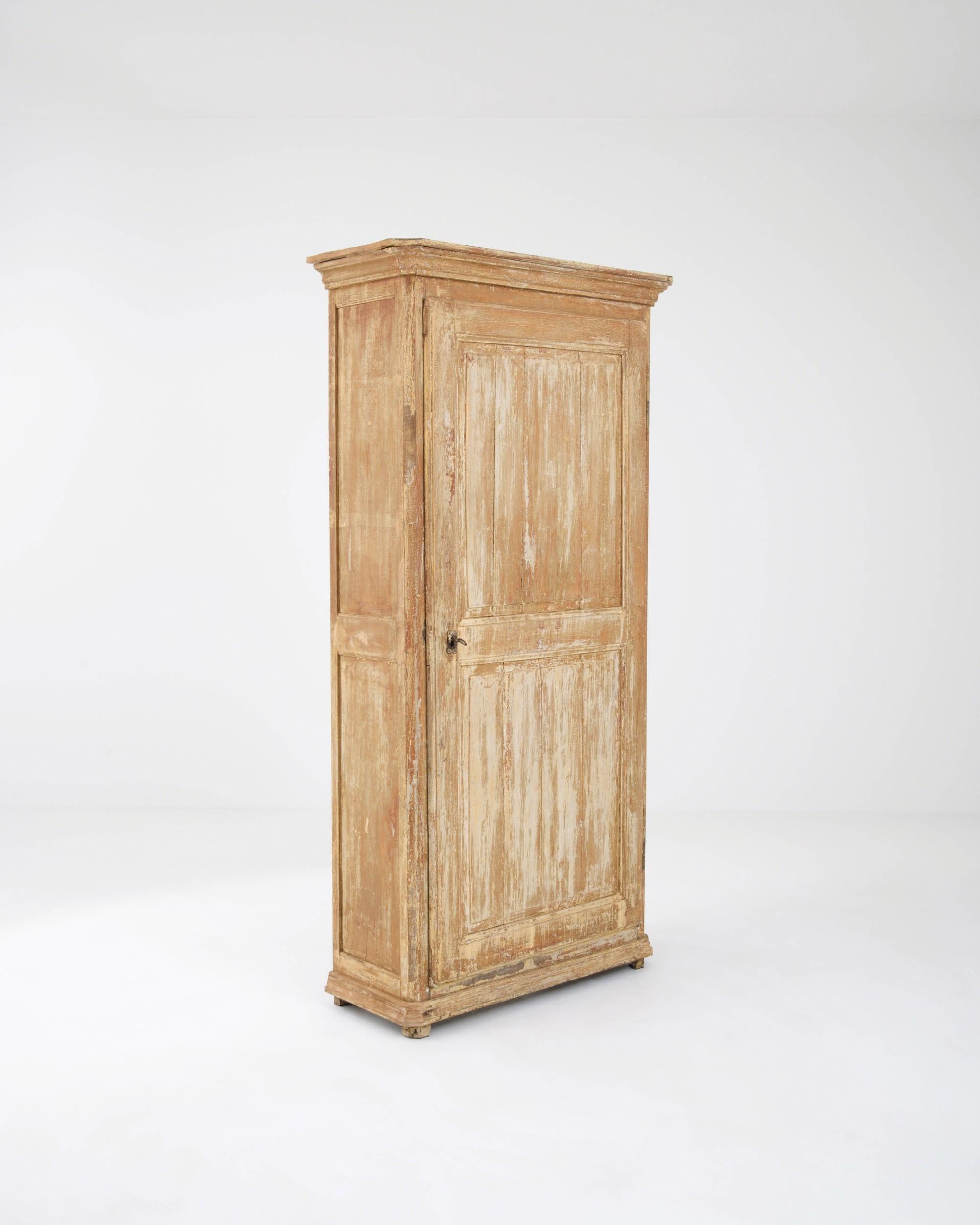 19th Century French Patinated Wooden Cabinet For Sale 1