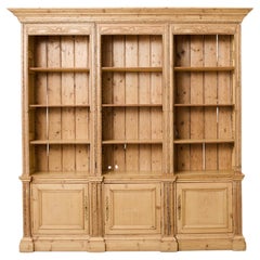 19. Jahrhundert Französisch Kiefer Bibliothek Bibliotheque Bücherregal