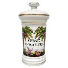 Bote de botica/farmacia de porcelana francesa del siglo XIX - 'CERAT: C: OX: PLUMB:'