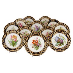 19th Century French Porcelain Set of 12 Floral Plates