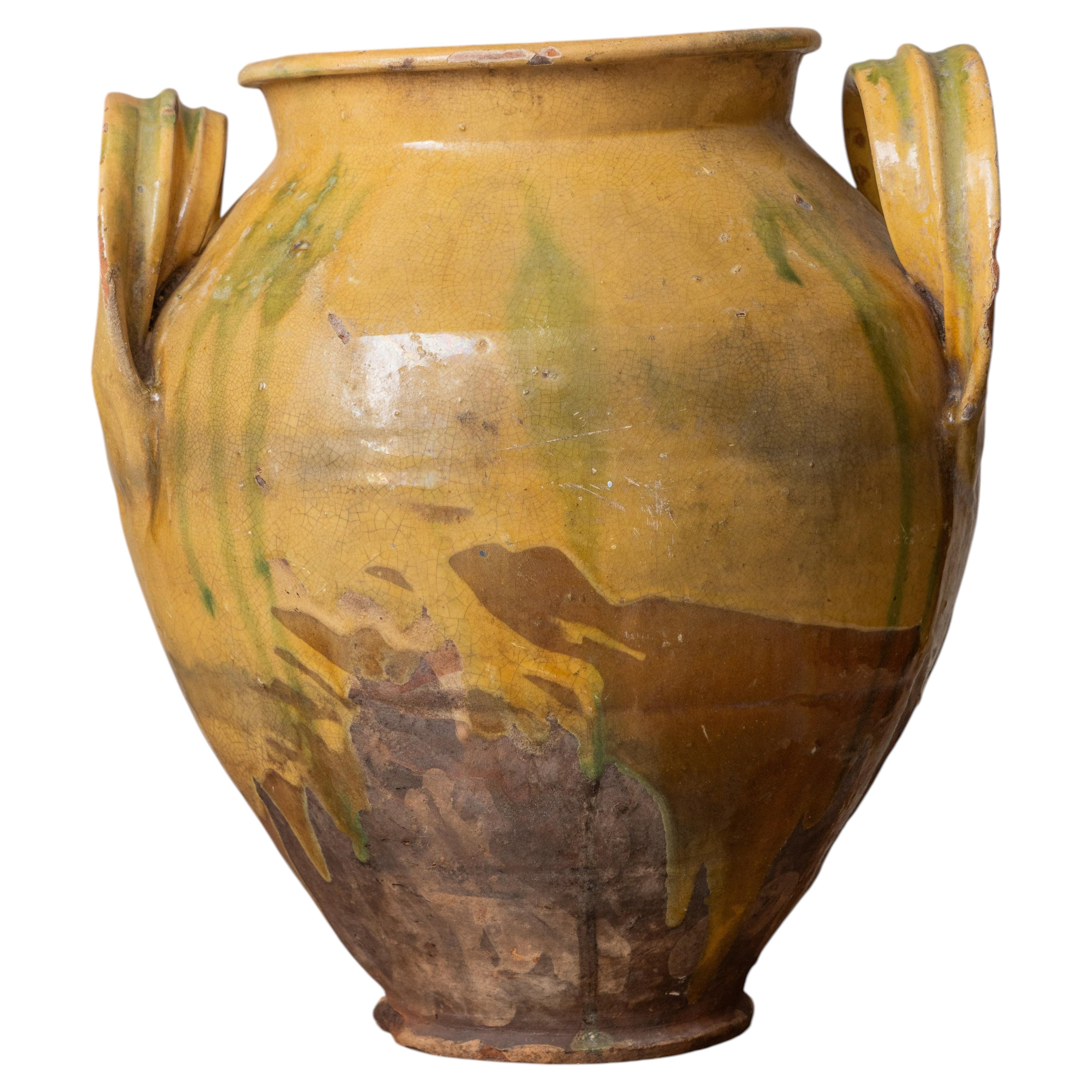 19th Century French Provencal Glazed Terracotta Olive Jar with Loop Handles