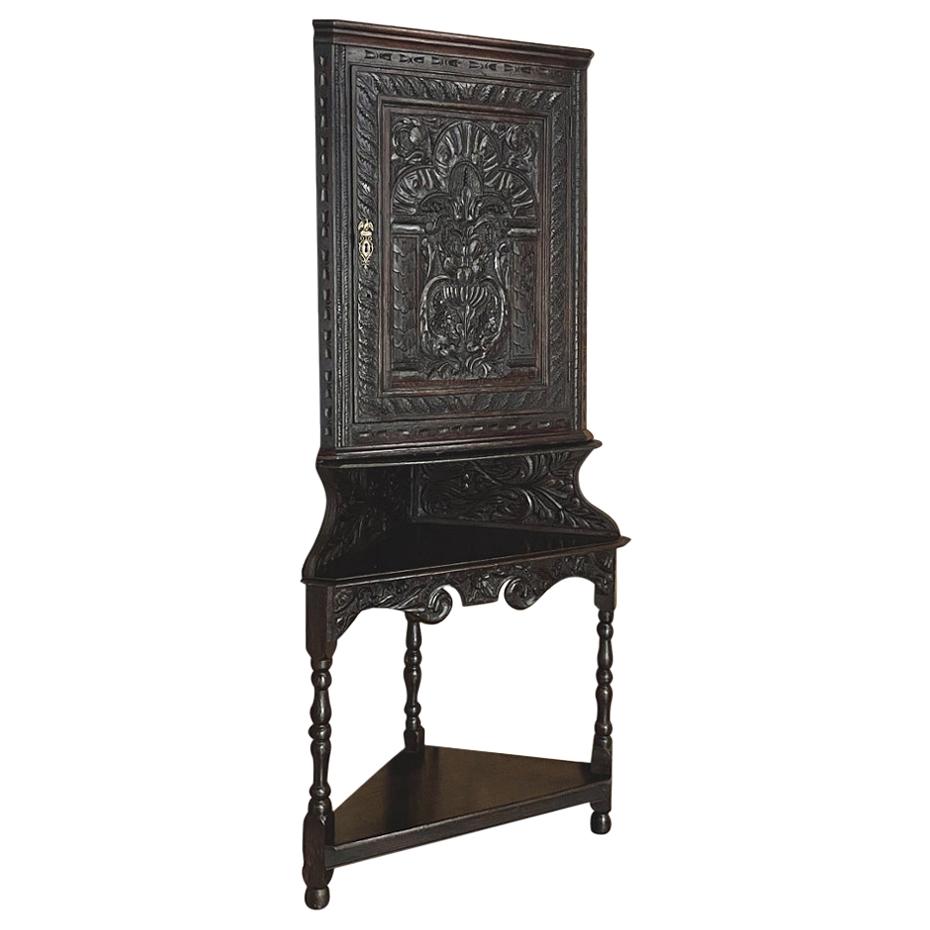 19th Century French Renaissance Raised Corner Cabinet