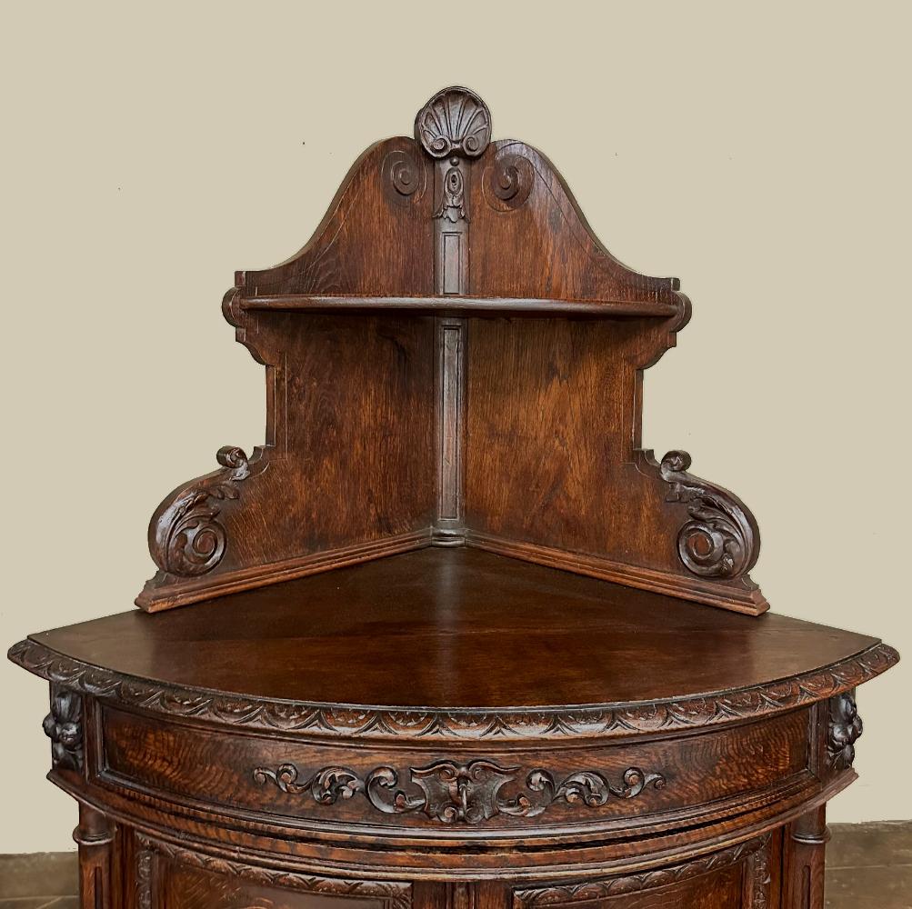 19th Century French Renaissance Revival Corner Cabinet ~ Confiturier For Sale 5