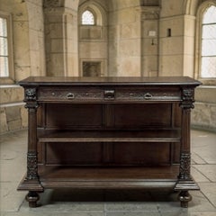 19th Century French Renaissance Revival Henry II Style Server