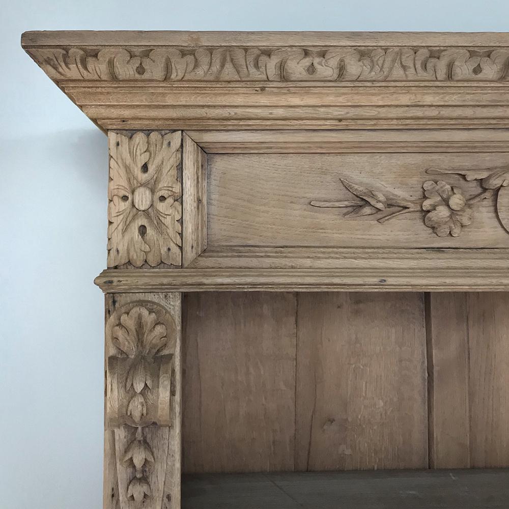 19th Century French Renaissance Stripped Oak Bookcase 3