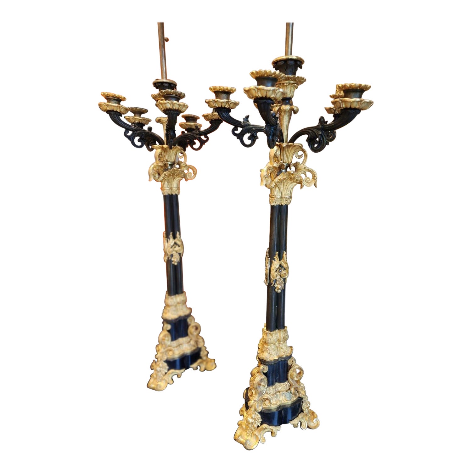 19th Century, French, Rococo Dore Bronze Candelabra Lamp