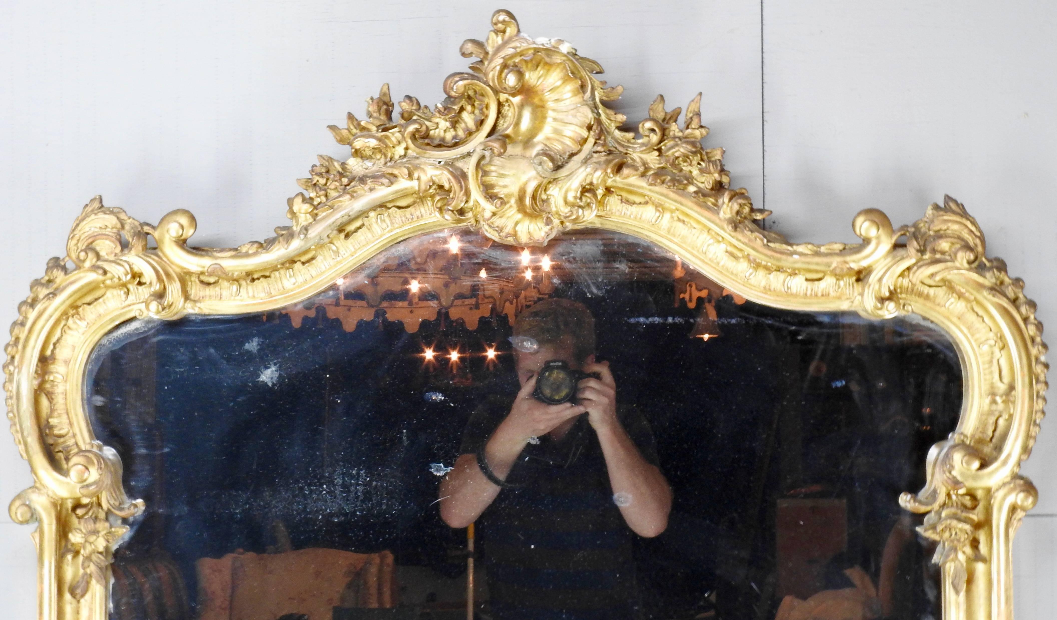 This beautiful 19th century French Rococo mirror is a show stopper. With the bold gilt over all the beautiful carvings give this mirror dimension.