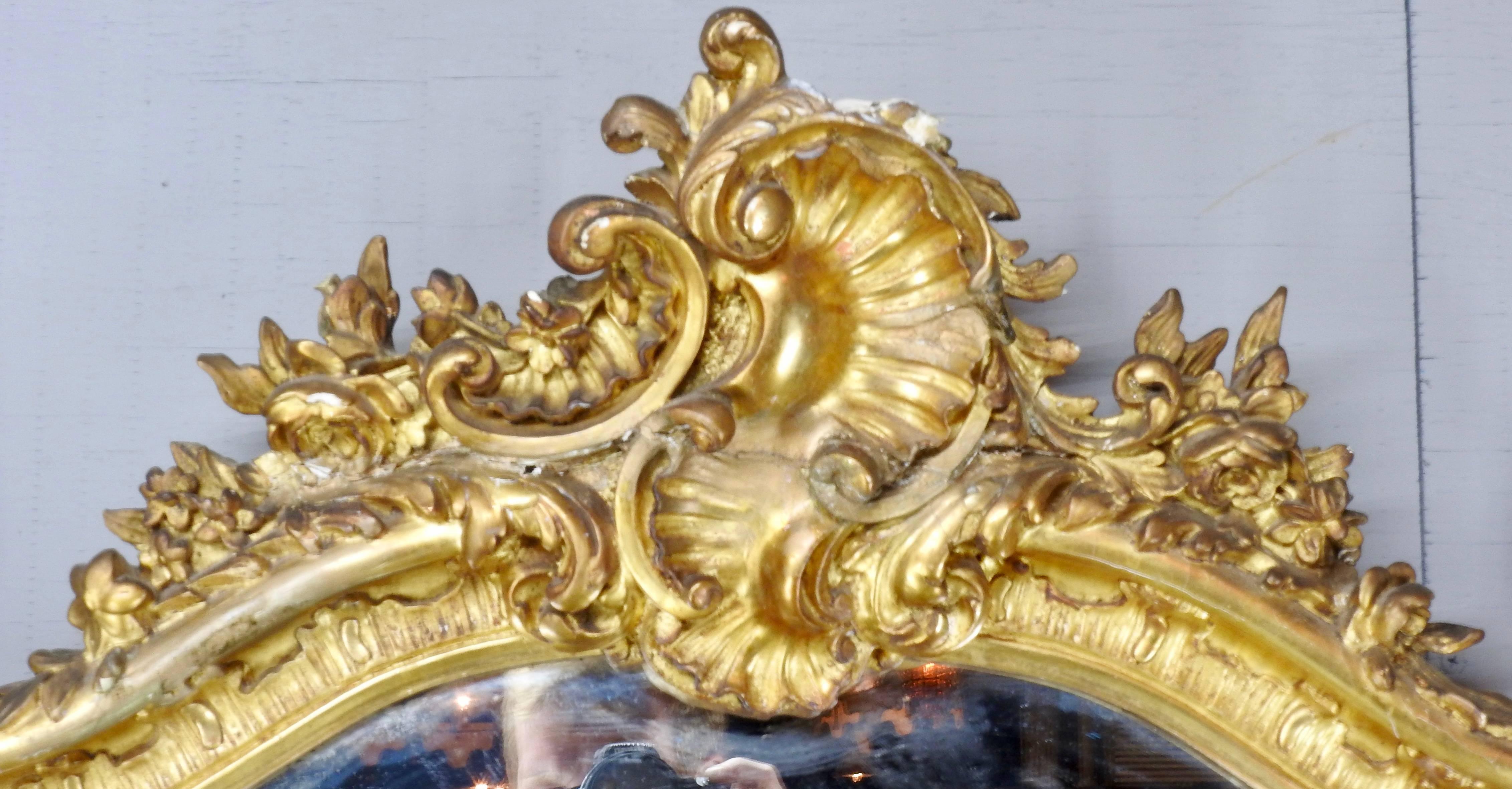 Gilt 19th Century French Rococo Mirror For Sale