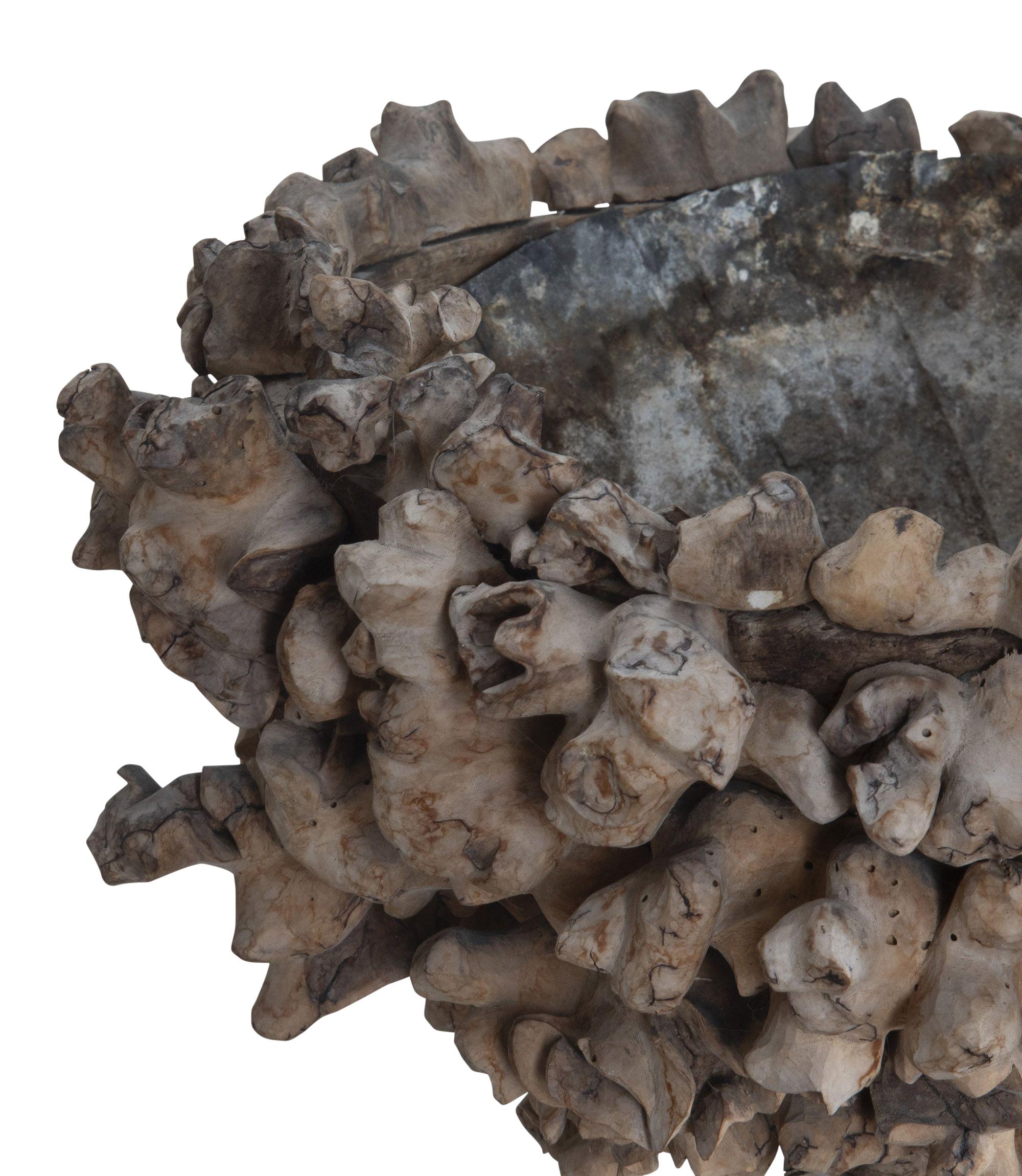 19th Century French Root Bowl For Sale 6