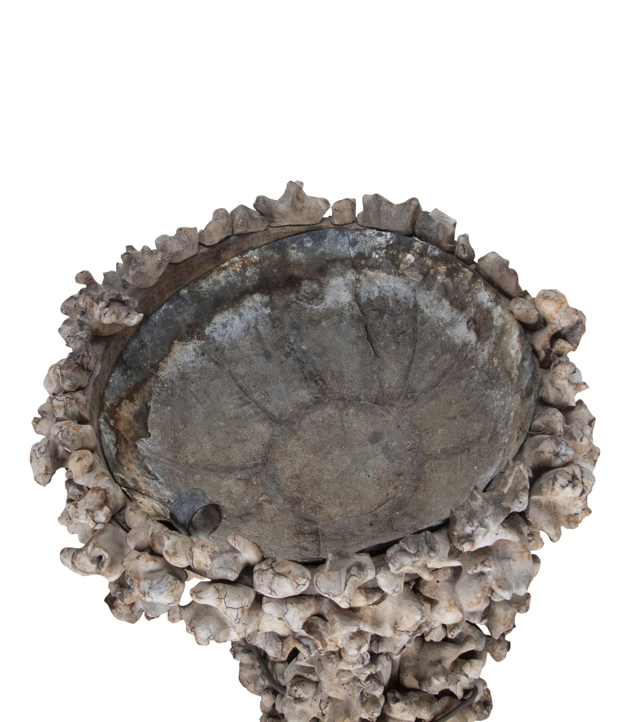 19th Century French Root Bowl For Sale 1