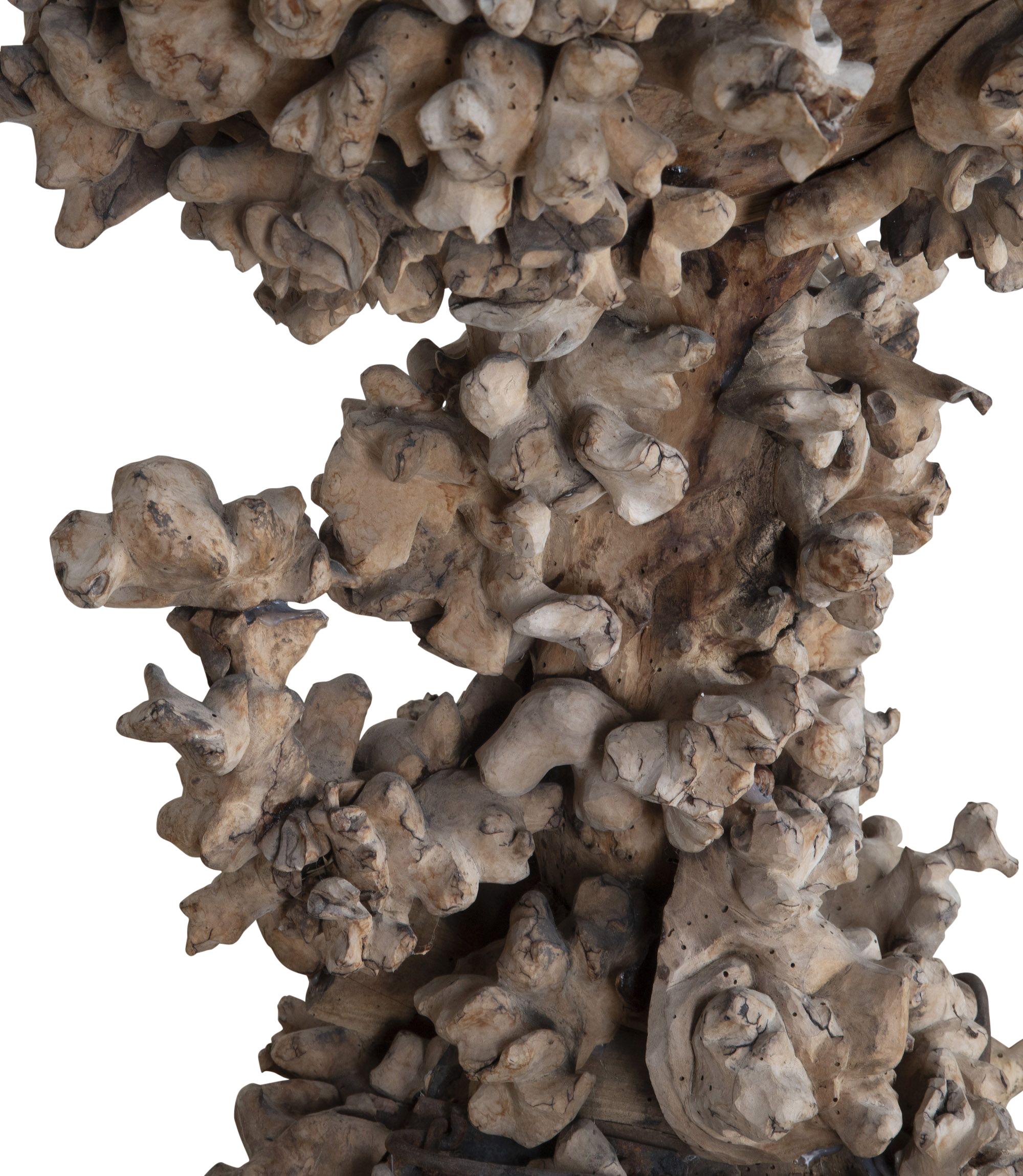 19th Century French Root Bowl For Sale 2