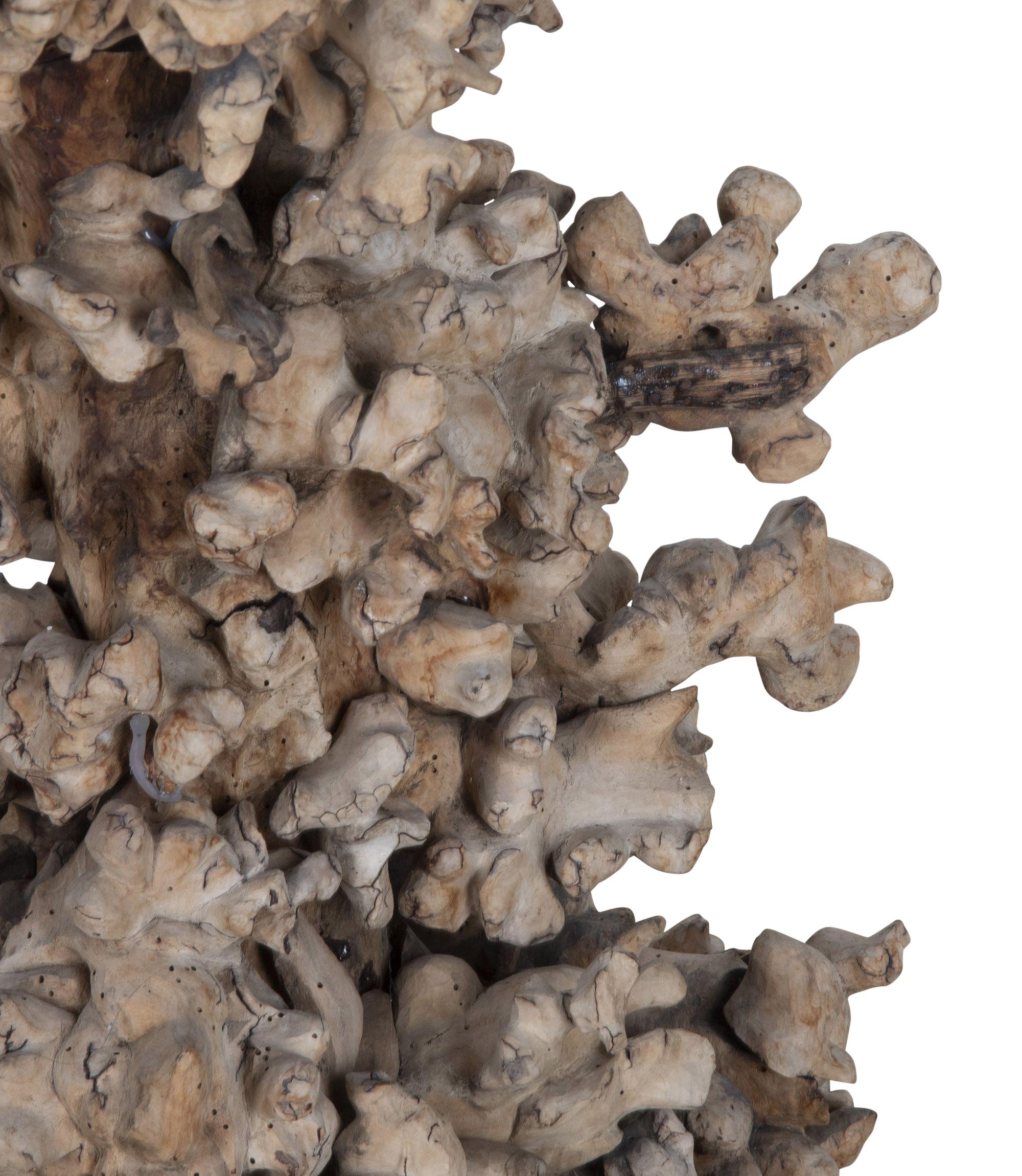 19th Century French Root Bowl For Sale 3