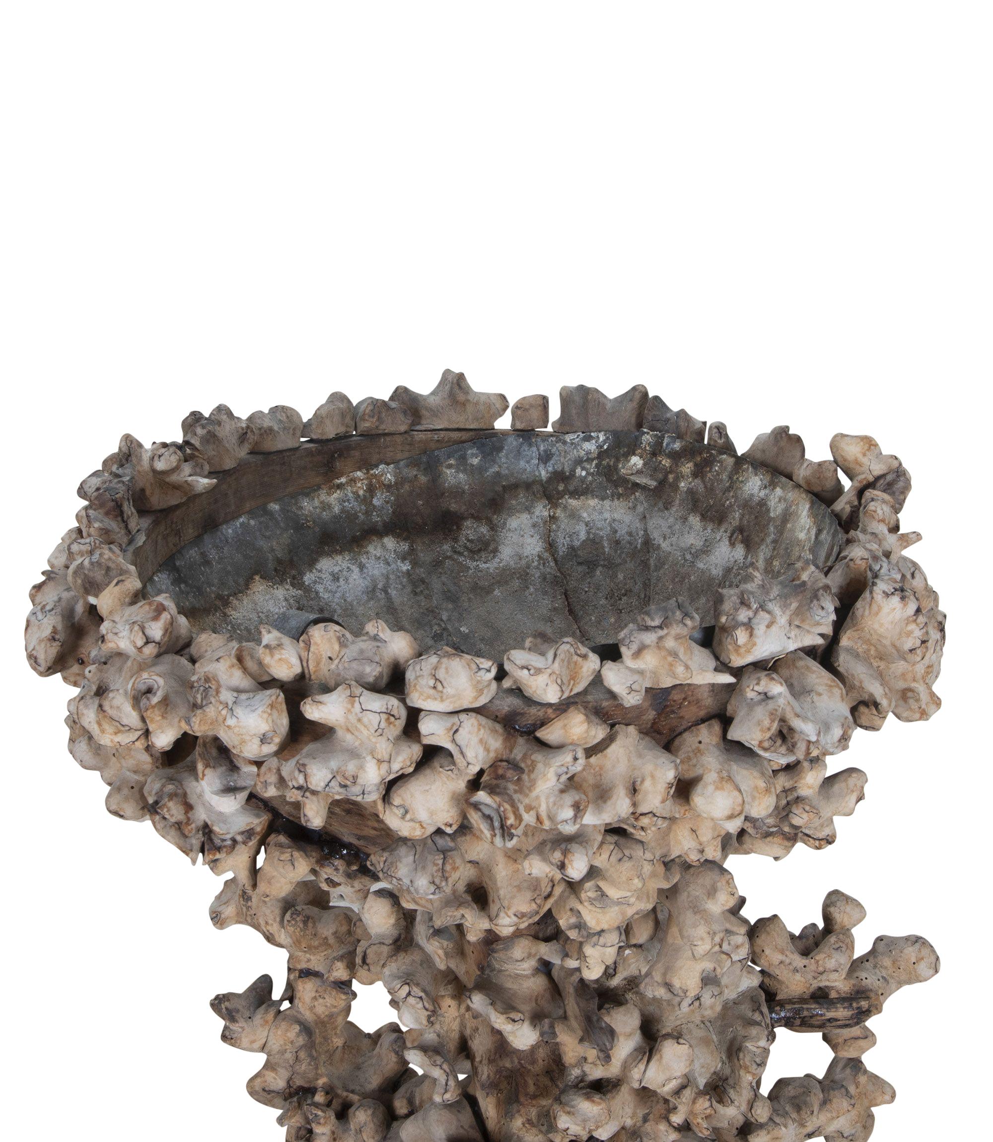 19th Century French Root Bowl For Sale 4