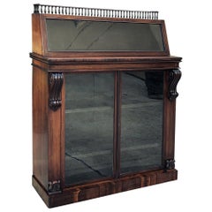19th Century French Rosewood Display Case