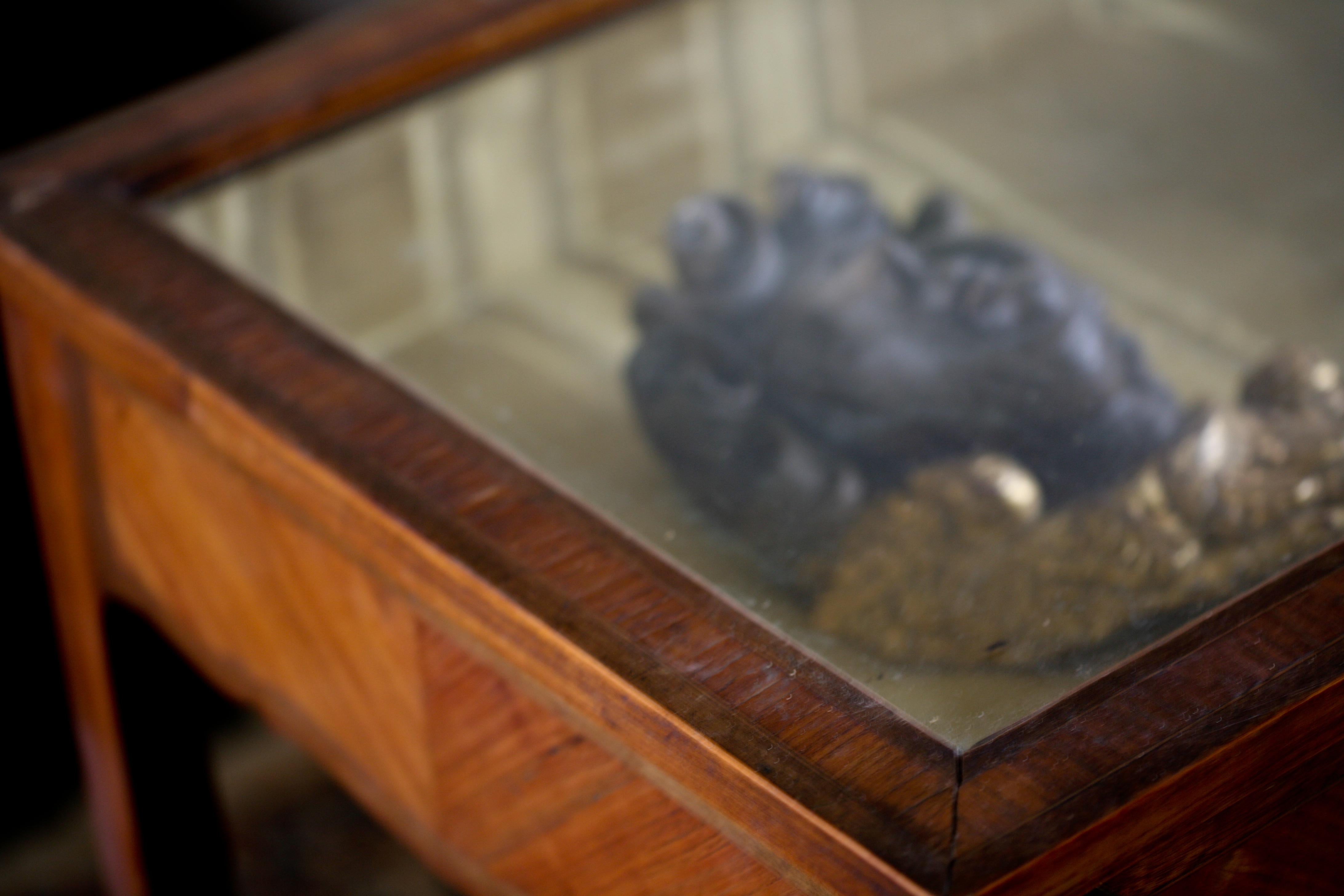 19th Century French Rosewood Vitrine with Top Opening, Transition Period For Sale 2