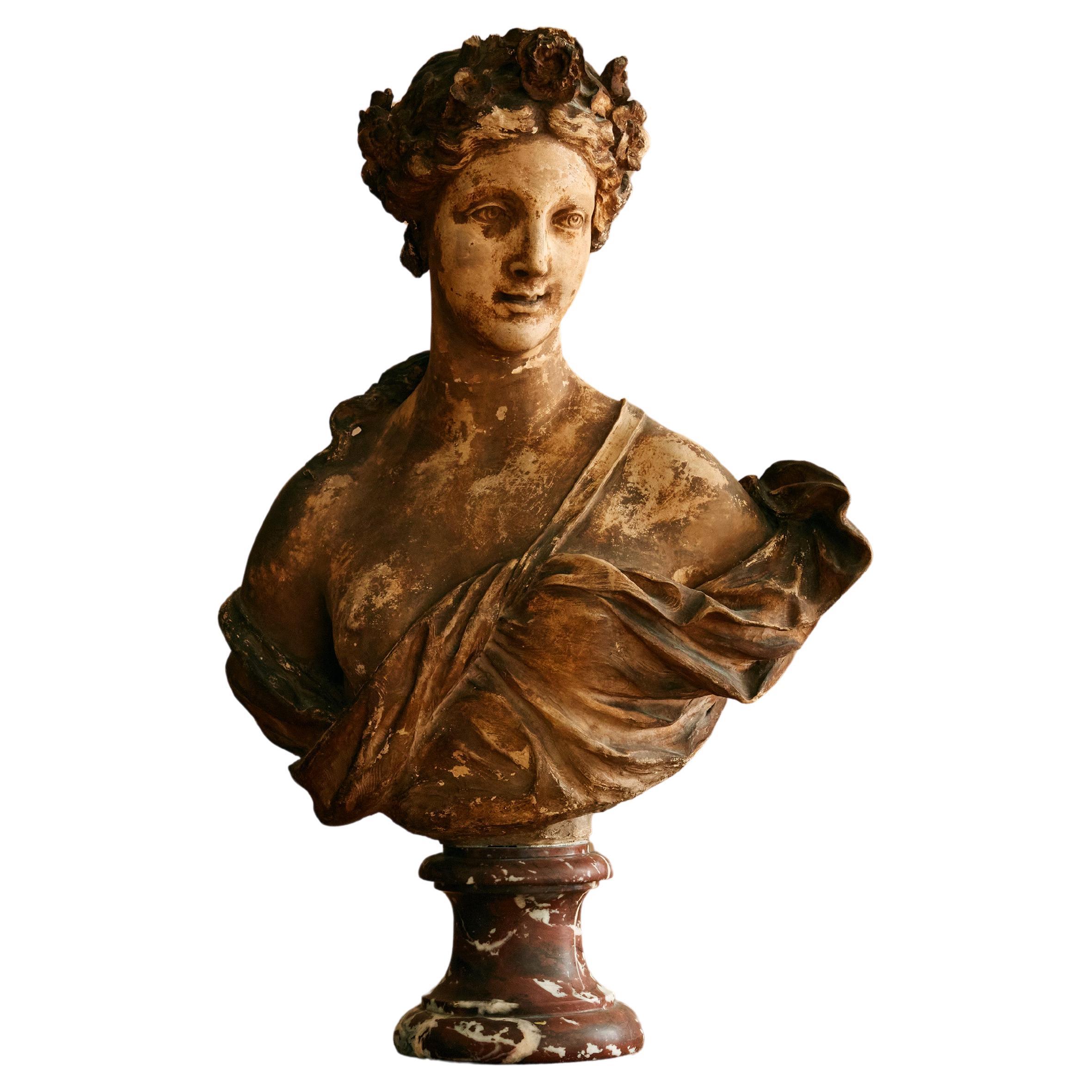 19th-century French School terracotta bust  For Sale