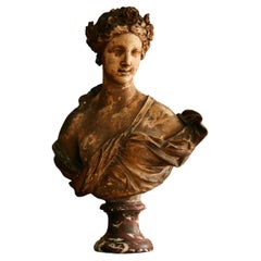 Antique 19th-century French School terracotta bust 