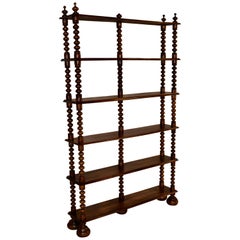 19th Century French Shallow Bookshelf