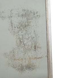 19th Century French Silver Gilt Bistro Mirror