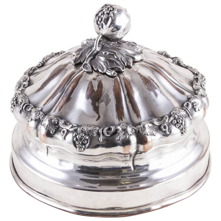 https://a.1stdibscdn.com/19th-century-french-silver-hotel-dome-serving-piece-food-warmer-dish-cover-for-sale/29799662/f_337572121681240814324/6280543_master.jpg?width=768