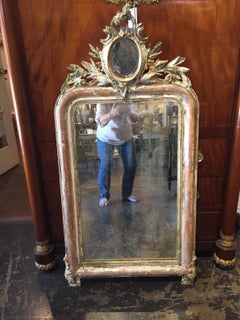19th Century French Silver Leaf Louis Phillipe Mirror