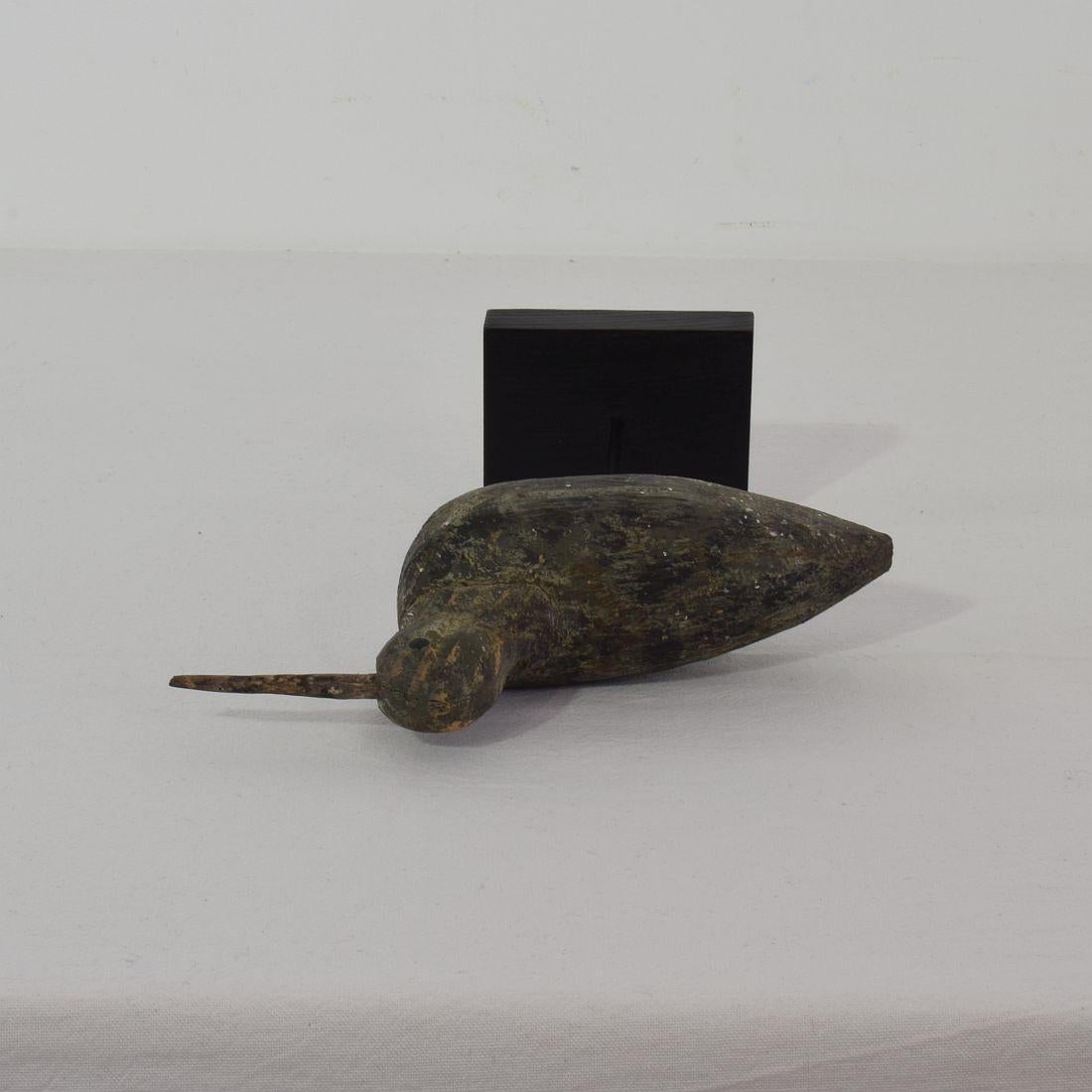 19th Century French Snipe Decoy 5