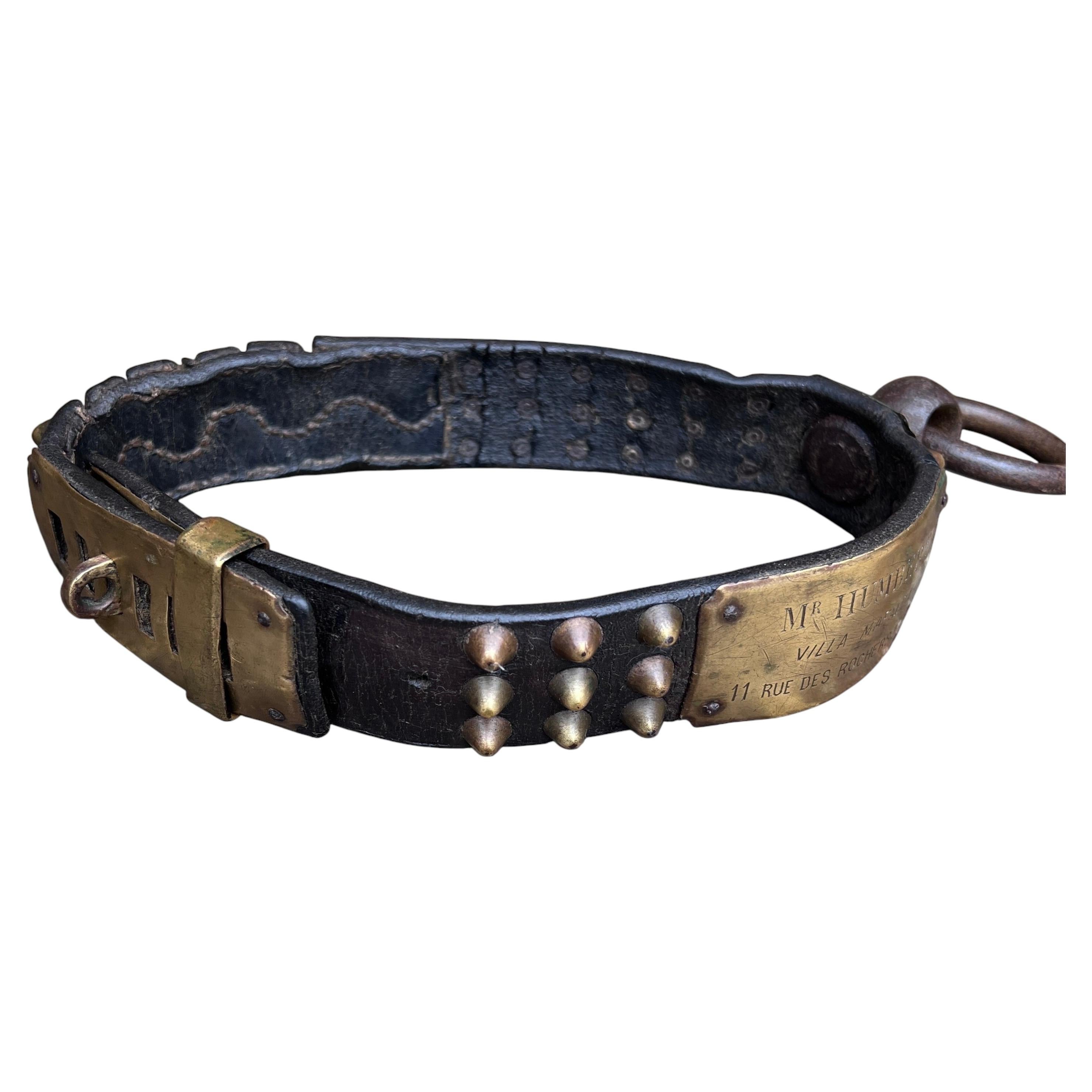 19Th Century French Studded Leather Dog Collar With Brass Nameplate