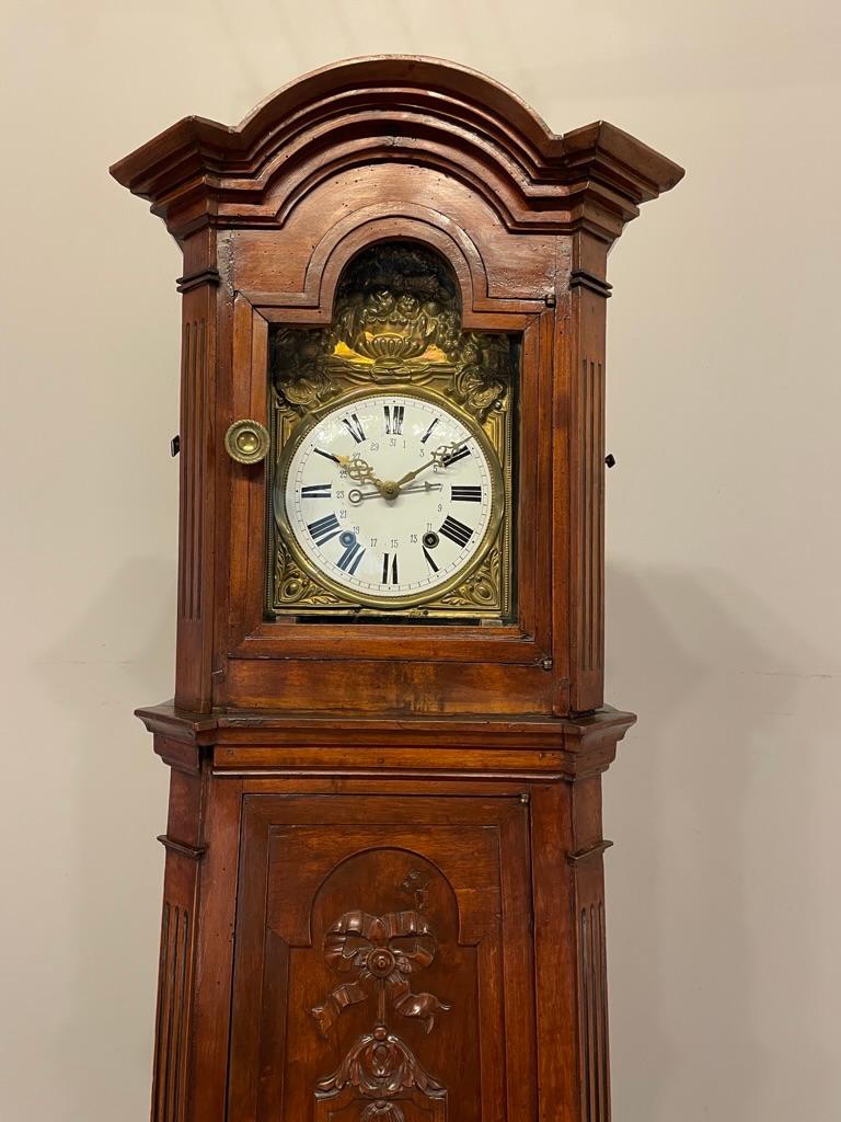 French Provincial 19th Century French Tall Case Clock or Horloge De Parquet For Sale