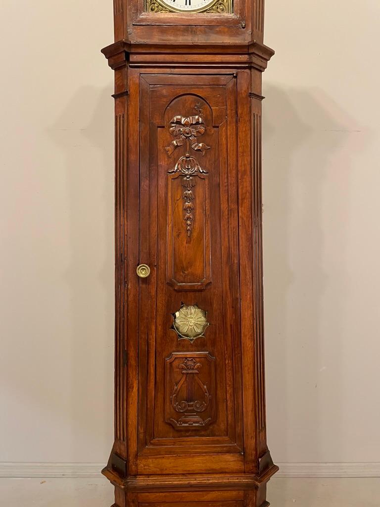 Hand-Carved 19th Century French Tall Case Clock or Horloge De Parquet For Sale