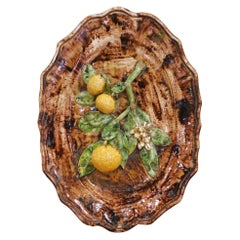 19th Century French Tardieu Fils Menton Faience Barbotine Citrus Wall Platter