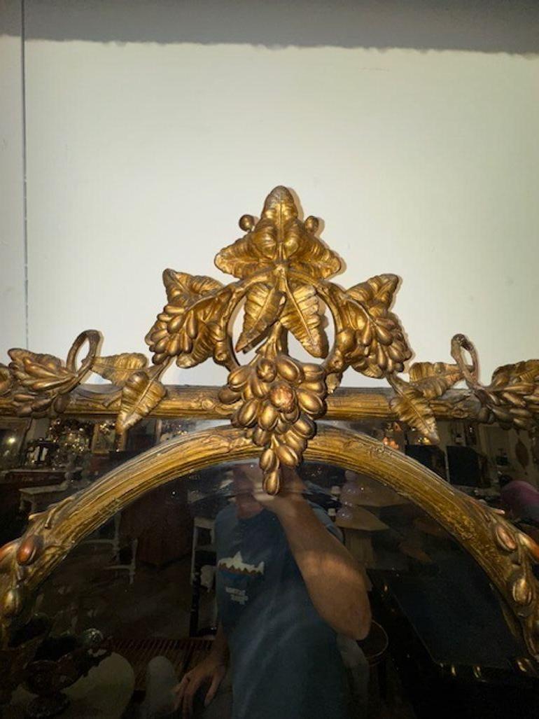 Espejo francés del siglo XIX tallado y dorado en forma de árbol. Alrededor de 1890. ¡Un favorito de los mejores diseñadores! 34w x 45h
