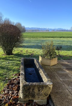 19th Century French Trough in Rare Pyrénées Mountain Blue Stone