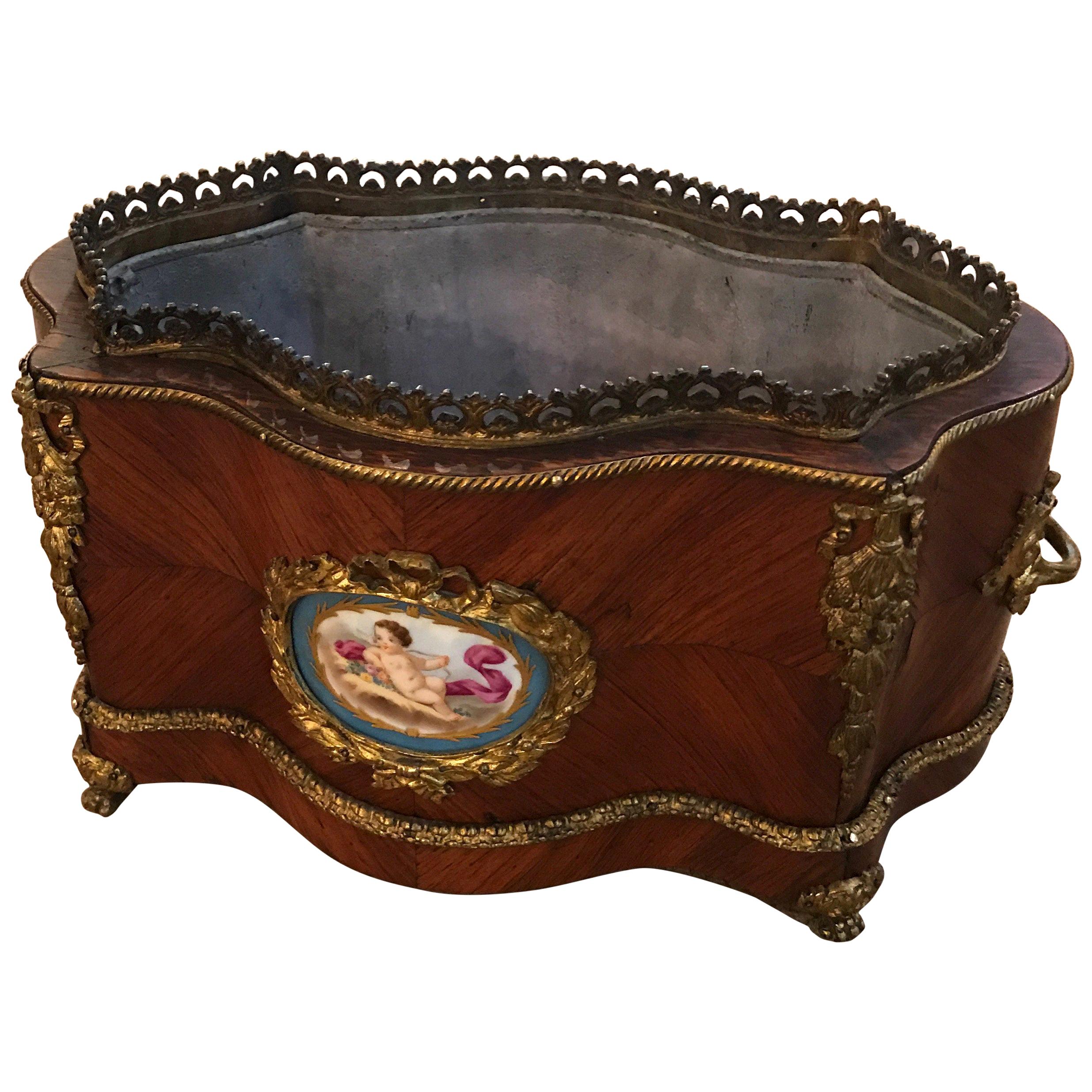 19th Century French Tulip Wood Jardinière Planter with Liner