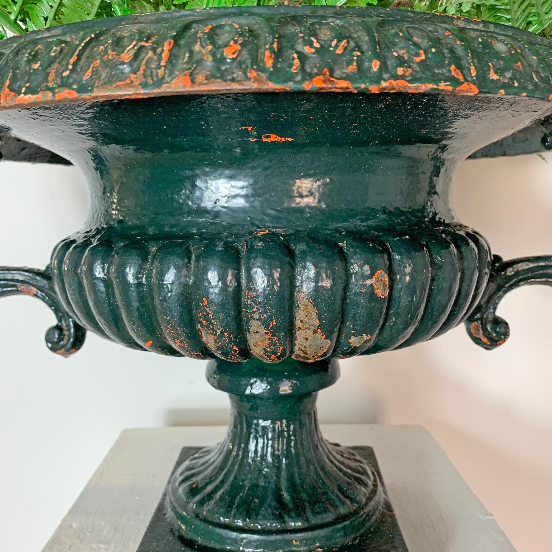 19th Century Green French Urn with Handles In Good Condition For Sale In Hastings, GB