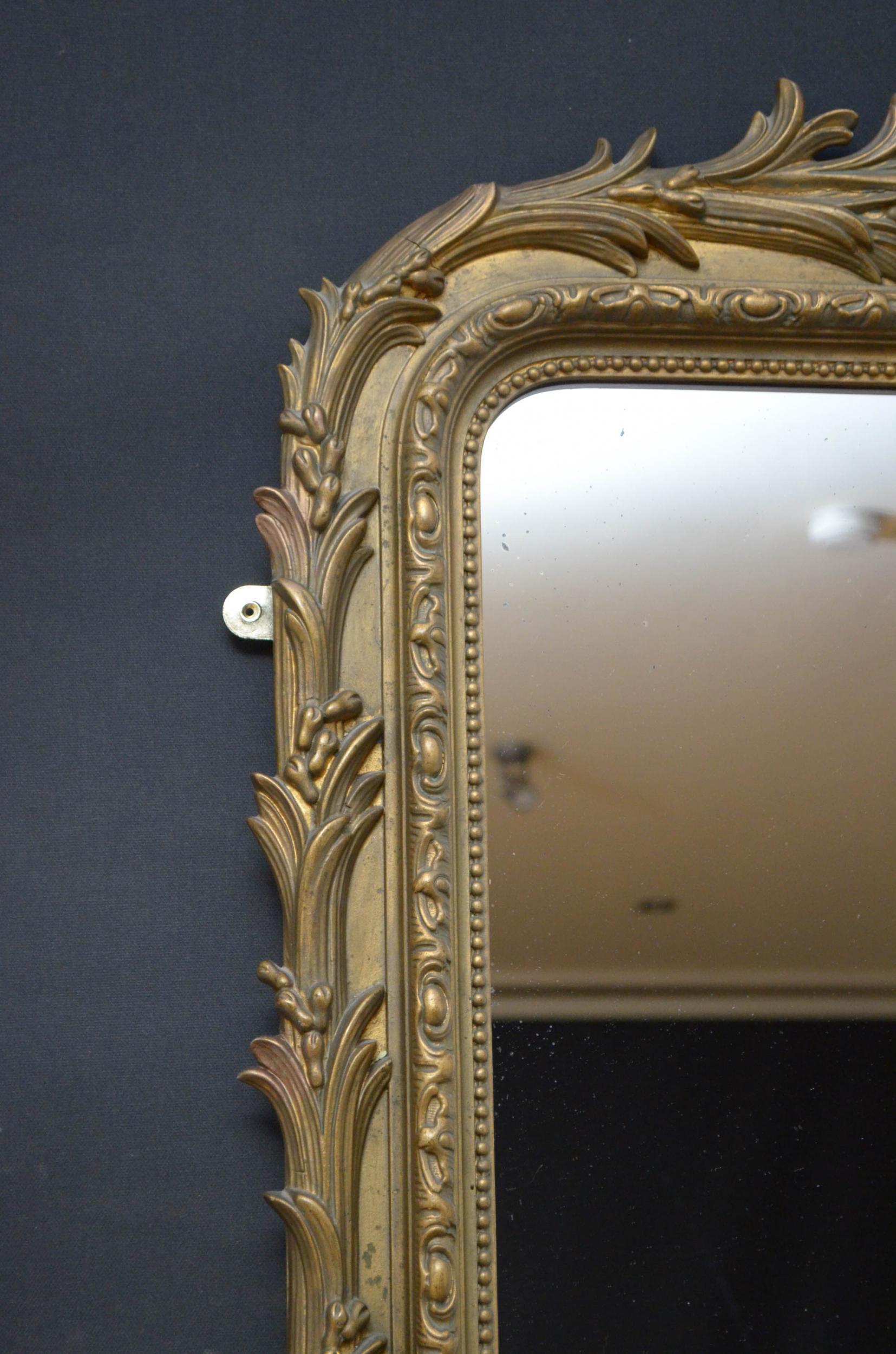 Gesso 19th Century French Wall Mirror
