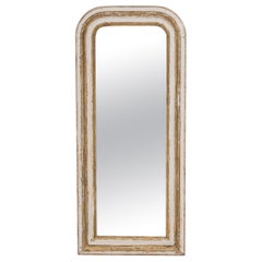 19th Century French Wall Mirror