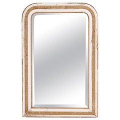 19th Century French Wall Mirror