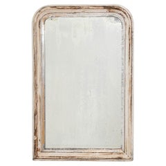 19th Century French Wall Mirror